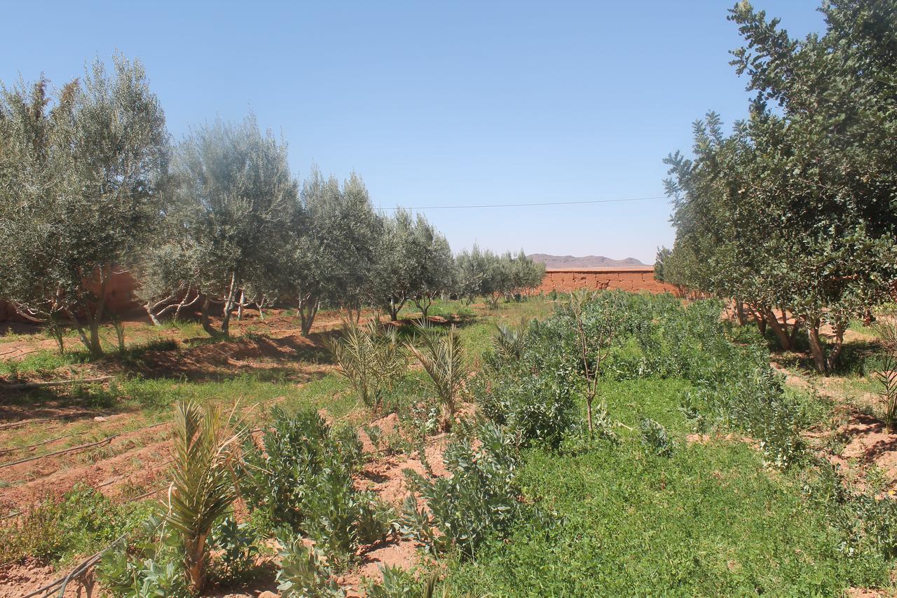 Dar Alfourssane Ferme D'Hote ワルザザート エクステリア 写真