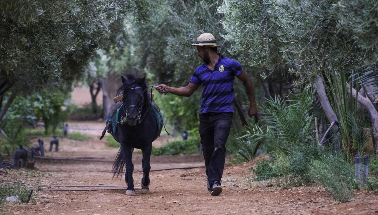 Dar Alfourssane Ferme D'Hote ワルザザート エクステリア 写真