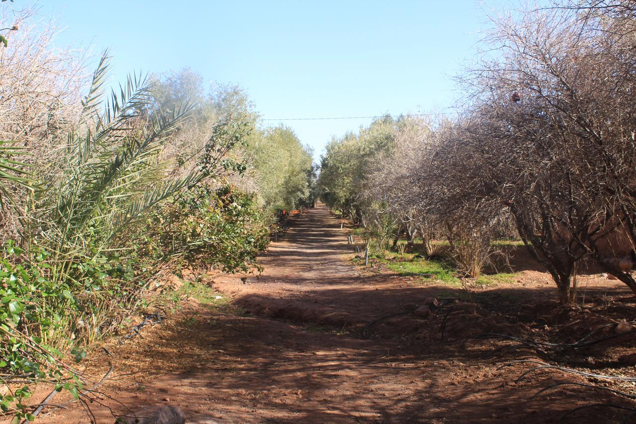 Dar Alfourssane Ferme D'Hote ワルザザート エクステリア 写真